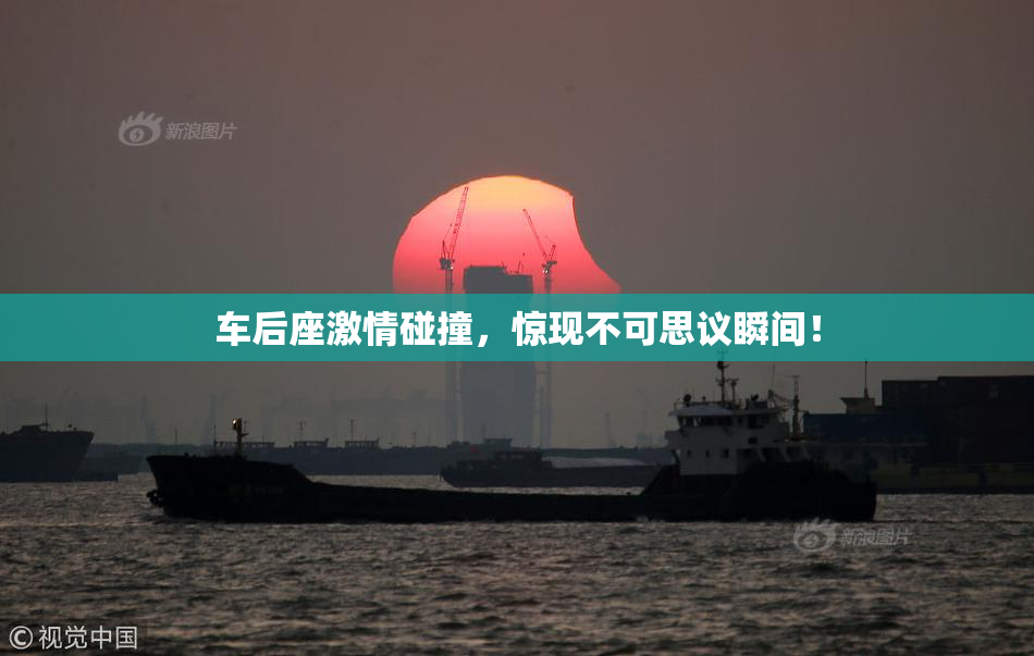 车后座激情碰撞，惊现不可思议瞬间！