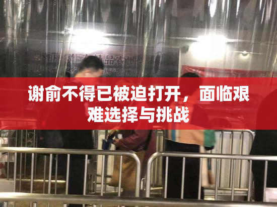 谢俞不得已被迫打开，面临艰难选择与挑战