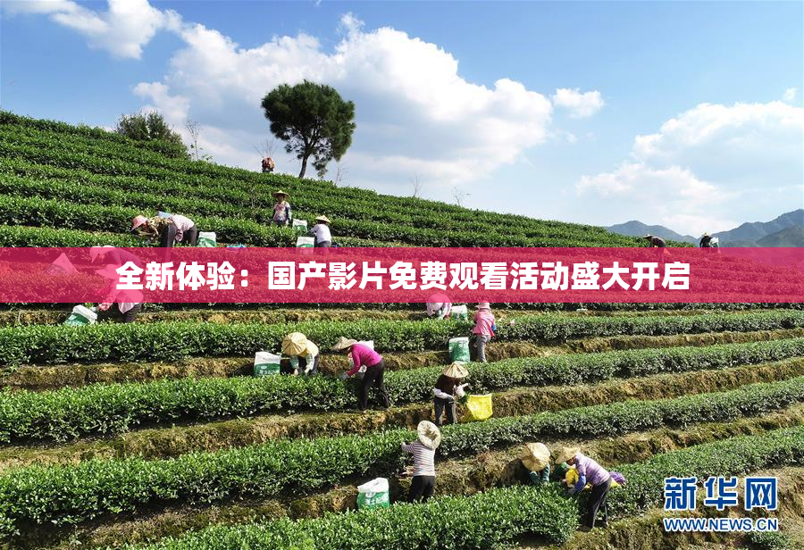 全新体验：国产影片免费观看活动盛大开启