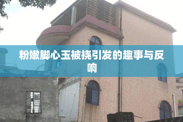 粉嫩脚心玉被挠引发的趣事与反响