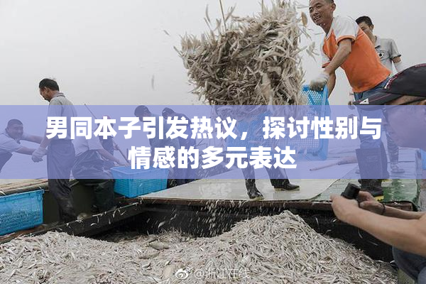 男同本子引发热议，探讨性别与情感的多元表达