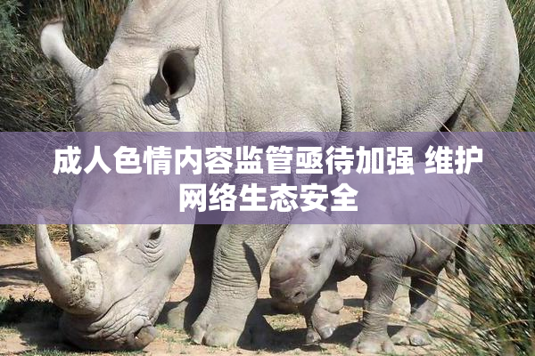 成人色情内容监管亟待加强 维护网络生态安全