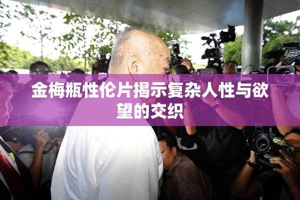 金梅瓶性伦片揭示复杂人性与欲望的交织