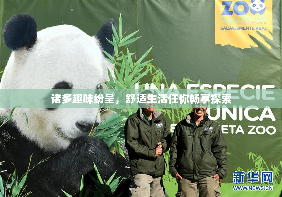 诸多趣味纷呈，舒适生活任你畅享探索