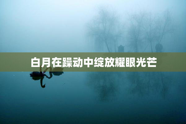 白月在躁动中绽放耀眼光芒