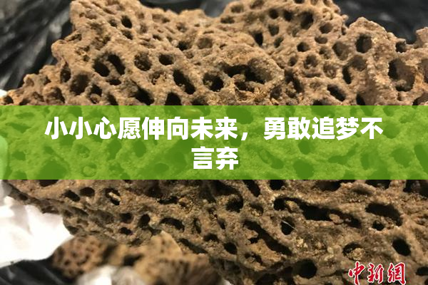 小小心愿伸向未来，勇敢追梦不言弃