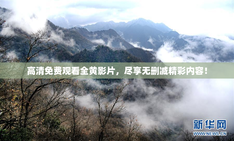 高清免费观看全黄影片，尽享无删减精彩内容！