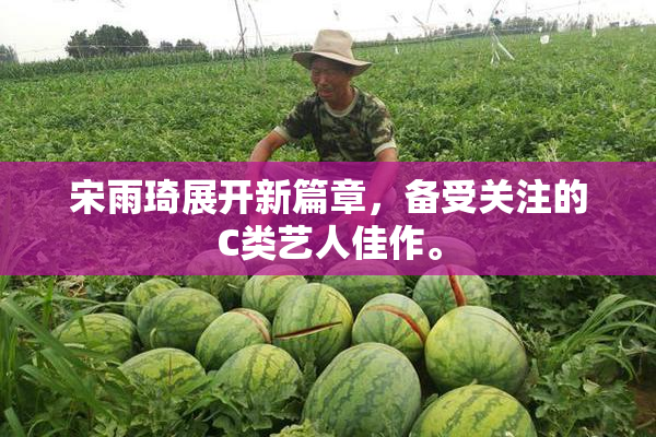 宋雨琦展开新篇章，备受关注的C类艺人佳作。