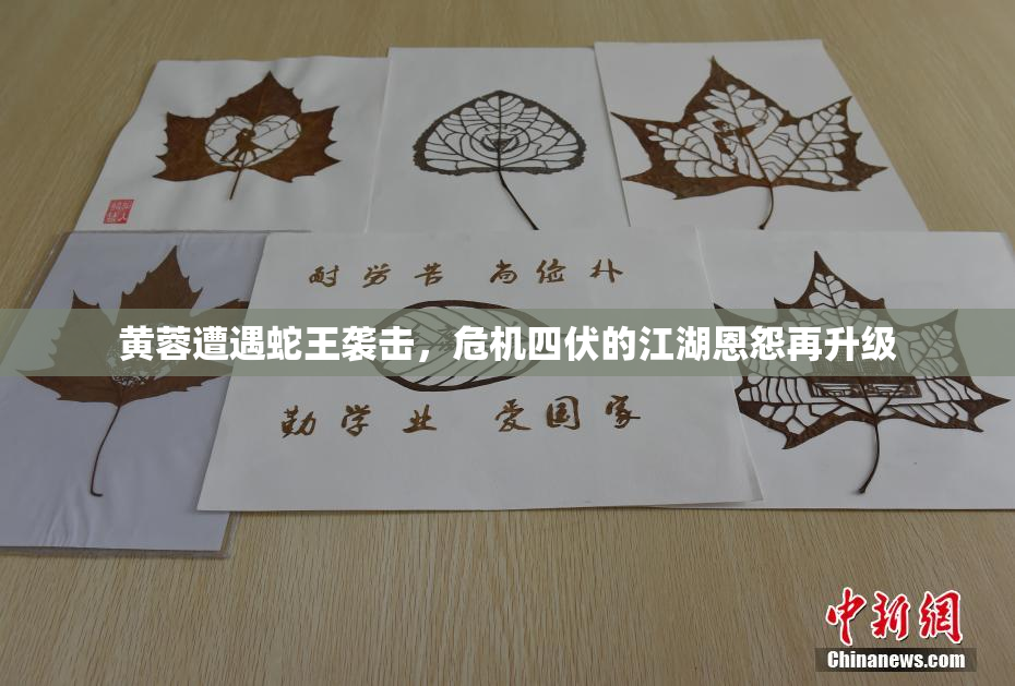 黄蓉遭遇蛇王袭击，危机四伏的江湖恩怨再升级