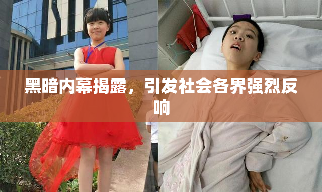 黑暗内幕揭露，引发社会各界强烈反响