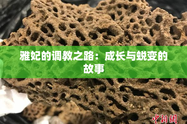 雅妃的调教之路：成长与蜕变的故事