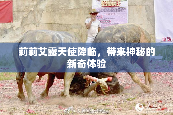 莉莉艾露天使降临，带来神秘的新奇体验