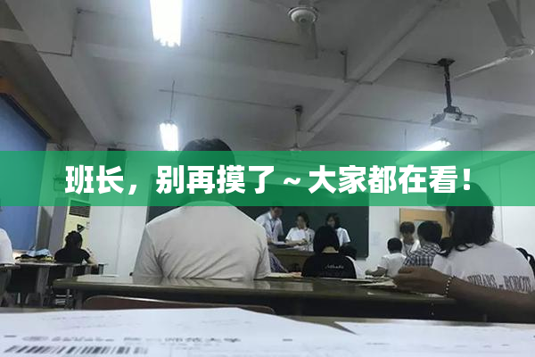 班长，别再摸了～大家都在看！