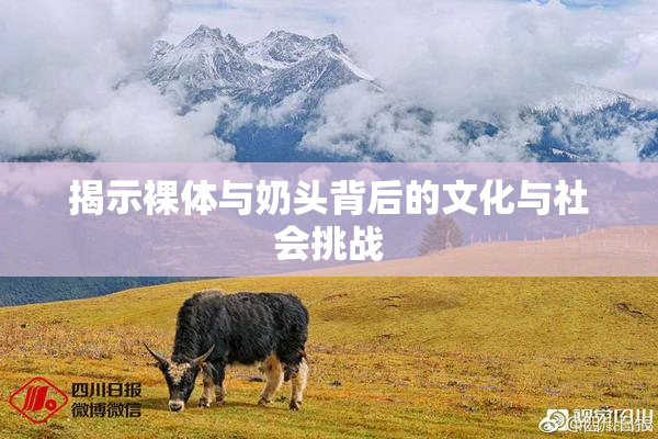 揭示裸体与奶头背后的文化与社会挑战