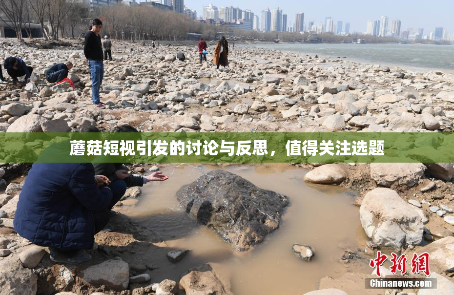 蘑菇短视引发的讨论与反思，值得关注选题