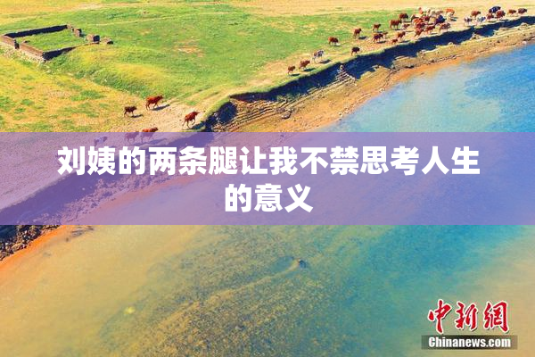 刘姨的两条腿让我不禁思考人生的意义