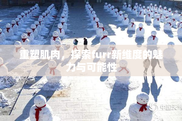重塑肌肉，探索furr新维度的魅力与可能性