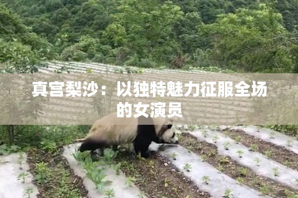 真宫梨沙：以独特魅力征服全场的女演员