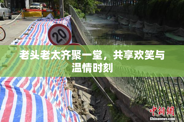 老头老太齐聚一堂，共享欢笑与温情时刻