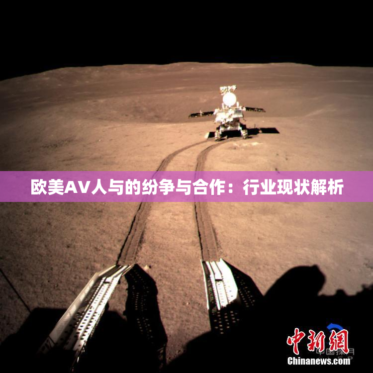 欧美AV人与的纷争与合作：行业现状解析