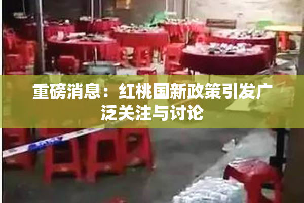 重磅消息：红桃国新政策引发广泛关注与讨论