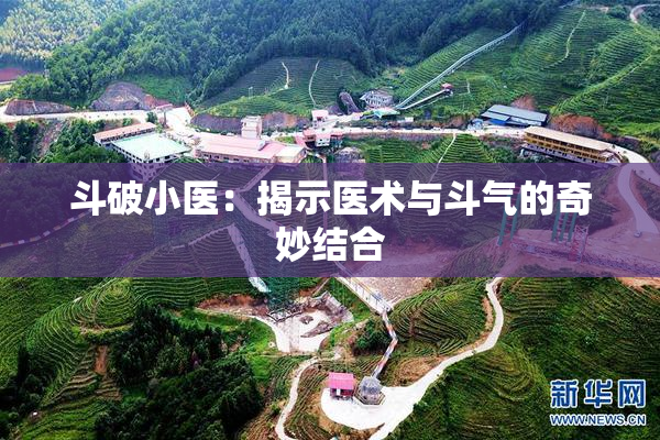 斗破小医：揭示医术与斗气的奇妙结合