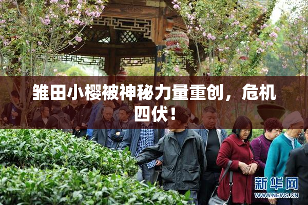 雏田小樱被神秘力量重创，危机四伏！