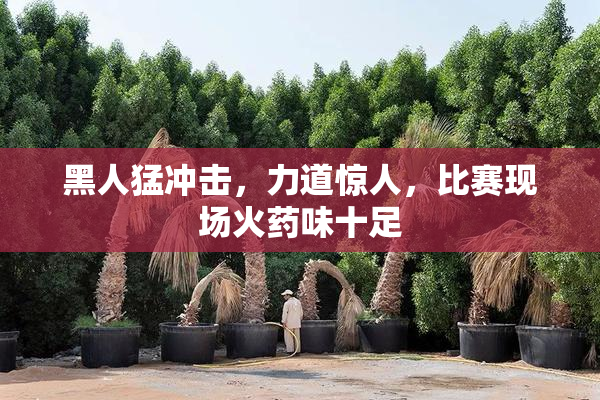 黑人猛冲击，力道惊人，比赛现场火药味十足