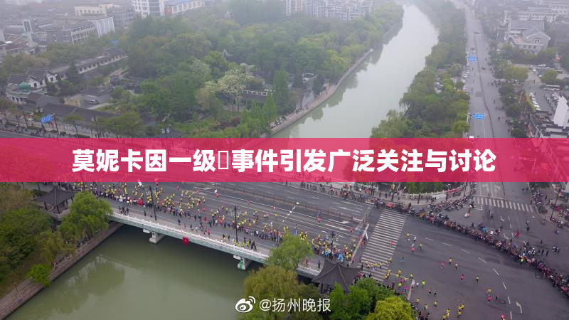 莫妮卡因一级婬事件引发广泛关注与讨论