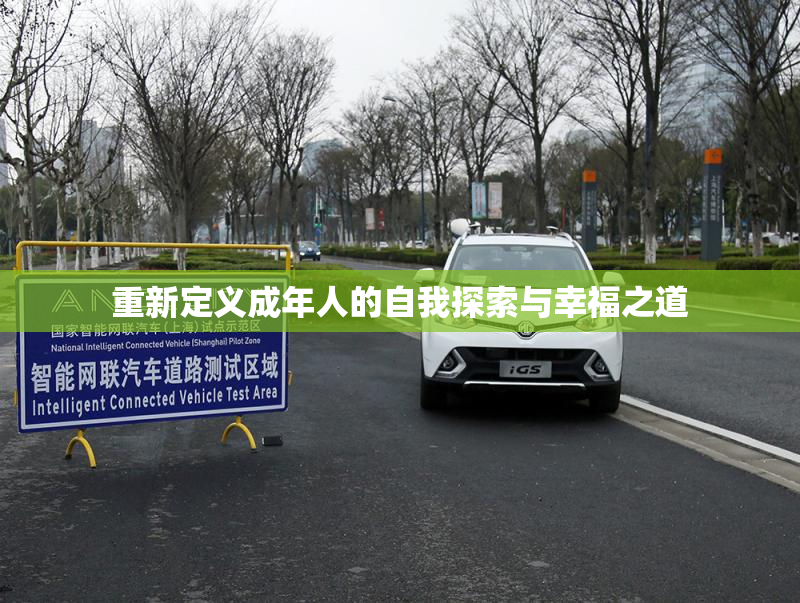 重新定义成年人的自我探索与幸福之道