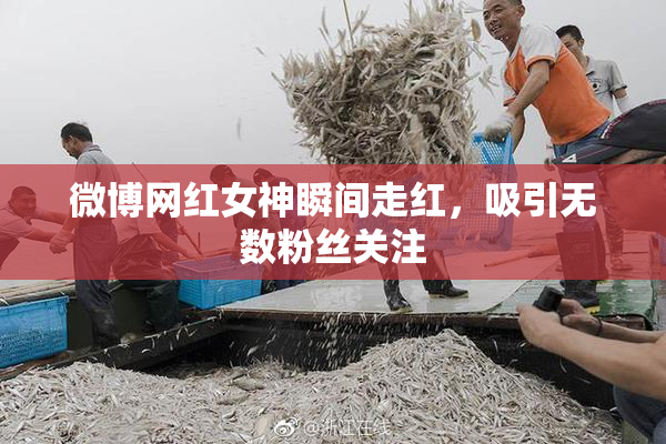 微博网红女神瞬间走红，吸引无数粉丝关注