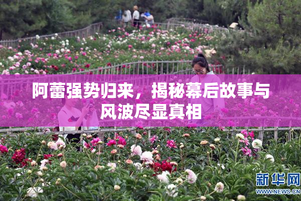 阿蕾强势归来，揭秘幕后故事与风波尽显真相