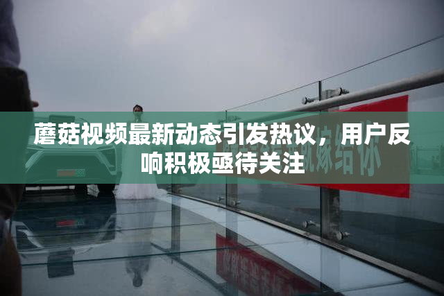 蘑菇视频最新动态引发热议，用户反响积极亟待关注