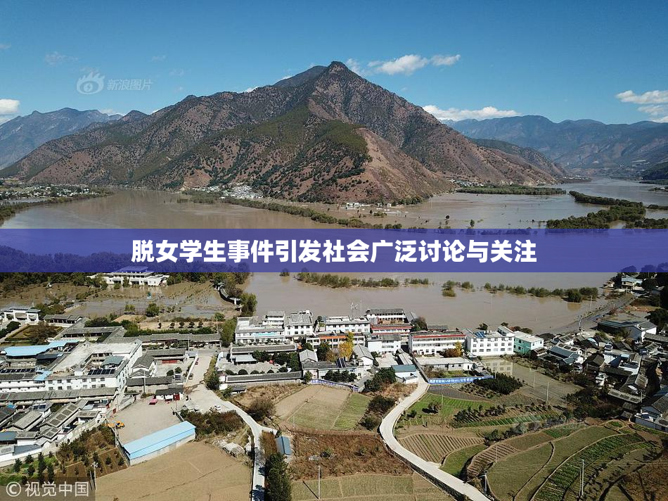 脱女学生事件引发社会广泛讨论与关注