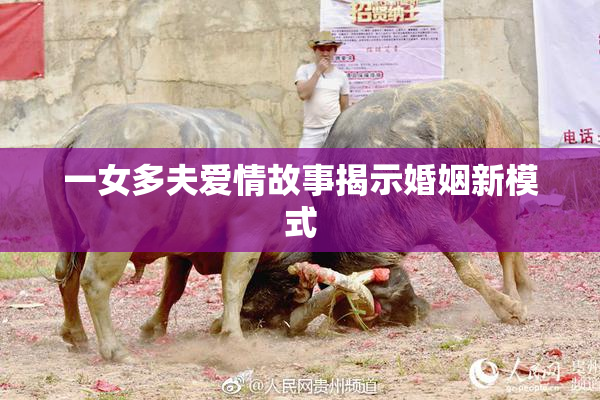 一女多夫爱情故事揭示婚姻新模式
