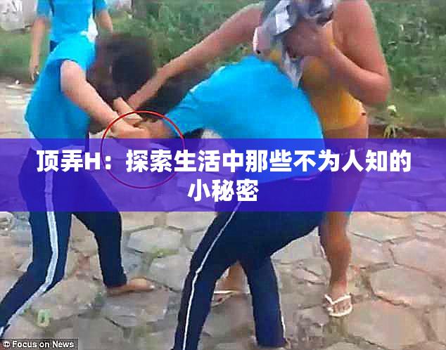 顶弄H：探索生活中那些不为人知的小秘密