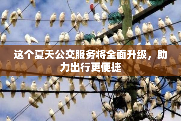 这个夏天公交服务将全面升级，助力出行更便捷