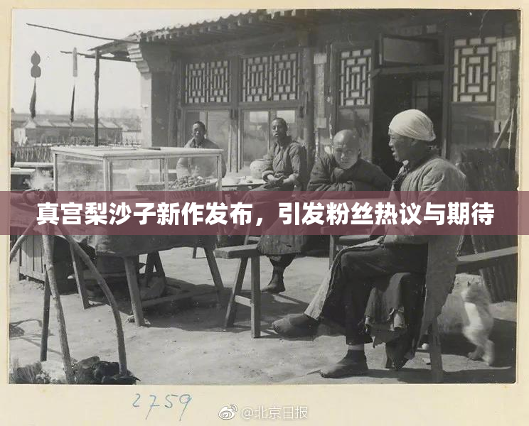 真宫梨沙子新作发布，引发粉丝热议与期待