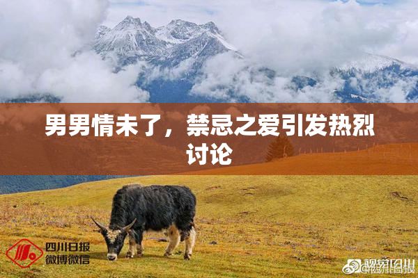 男男情未了，禁忌之爱引发热烈讨论
