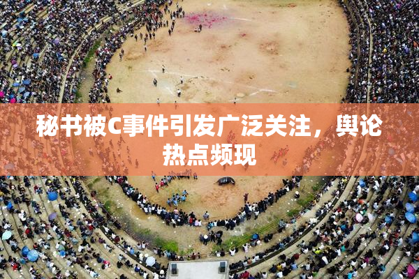 秘书被C事件引发广泛关注，舆论热点频现