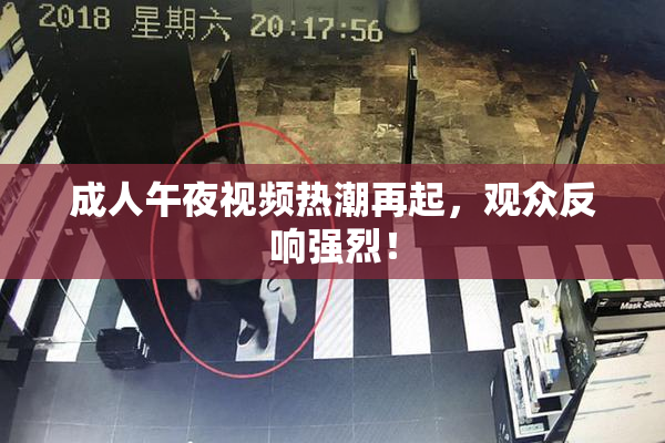 成人午夜视频热潮再起，观众反响强烈！