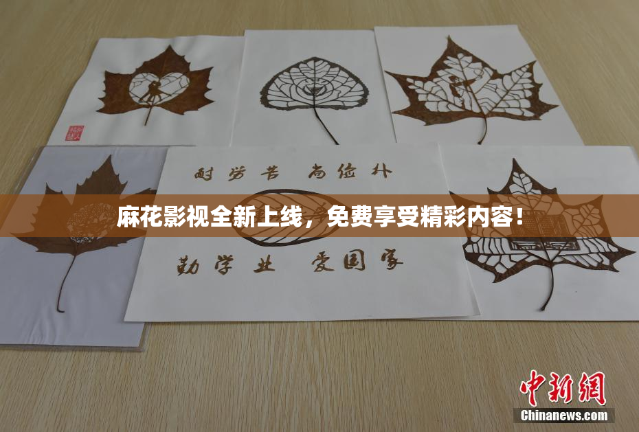 麻花影视全新上线，免费享受精彩内容！