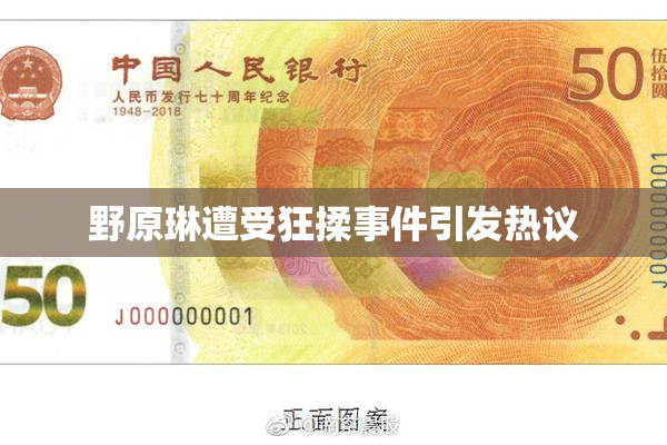 野原琳遭受狂揉事件引发热议