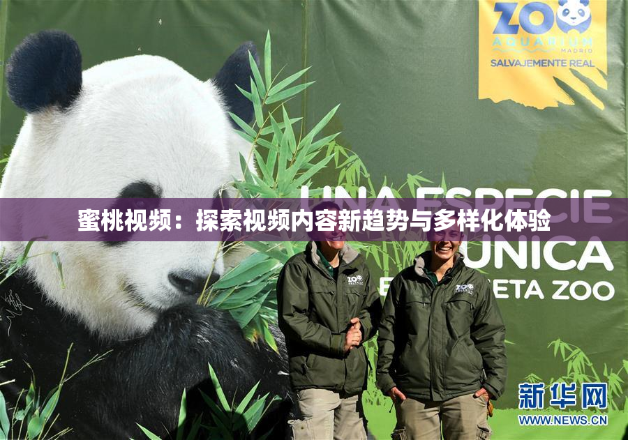 蜜桃视频：探索视频内容新趋势与多样化体验