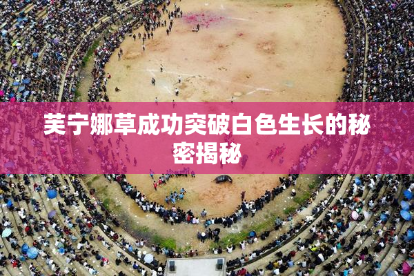 芙宁娜草成功突破白色生长的秘密揭秘
