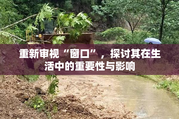重新审视“窗口”，探讨其在生活中的重要性与影响