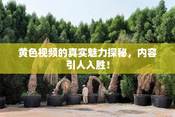 黄色视频的真实魅力探秘，内容引人入胜！