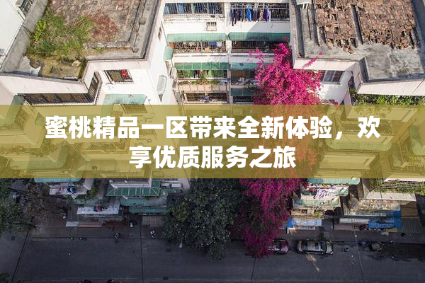 蜜桃精品一区带来全新体验，欢享优质服务之旅