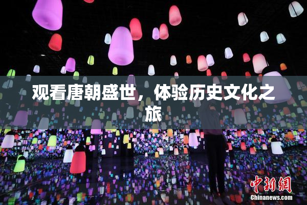 观看唐朝盛世，体验历史文化之旅