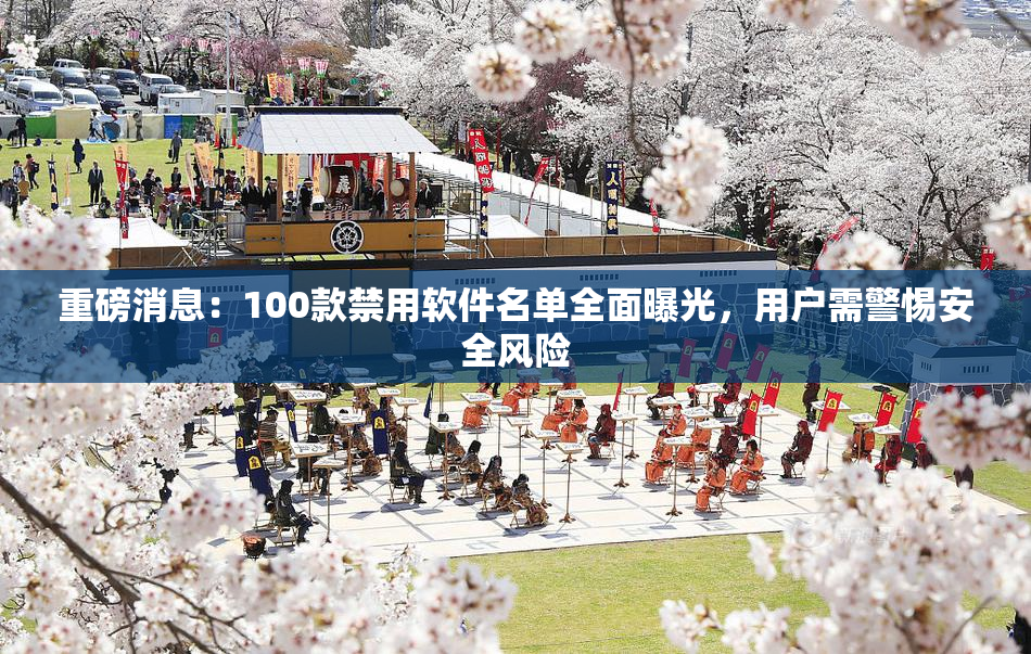 重磅消息：100款禁用软件名单全面曝光，用户需警惕安全风险